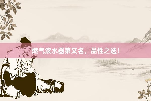 燃气滚水器第又名，品性之选！