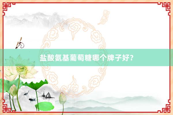 盐酸氨基葡萄糖哪个牌子好？