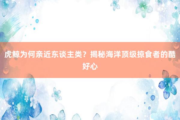 虎鲸为何亲近东谈主类?揭秘海洋顶级掠食者的酷好心